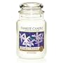 Yankee Candle 22 oz. Midnight Jasmine Jar Candle