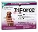 Kitchen & Housewares : 3 MONTH TriForce Green for DOGS 61 lbs & OVER