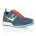 NIKE Chaussures Trail Running Air Pegasus+29 Homme  : image