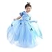 LOEL Girls' New Princess Dress Butterfly Party Costumes, Dress, 5-6YS