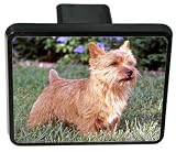 Norwich Terrier Trailer Hitch Cover 41A9w 6WuJL. SL160 Norwich Terrier Trailer Hitch Cover