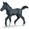 Schleich Horses: Lipizzaner Foal