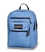 JanSport Big Student Backpack (Blue Bunny)