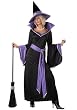 Incantasia, The Glamour Witch Holiday Party Costume