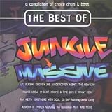 Revue Various Artists  / Best of Jungle Massive