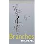 Branches: Nature's Patterns: A Tapestry in Three P&hellip von Philip Ball