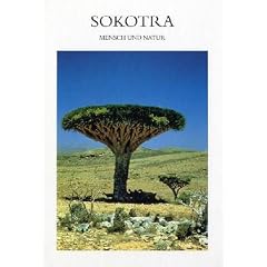 Sokotra