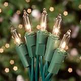 IMAGE OF Brite Ideas Commercial 100 ct. Clear MiniChristmas Lights with Green Wire 5.5 in. Spacing (Case) -