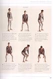 The Illustrated Elements of... - Alexander Technique