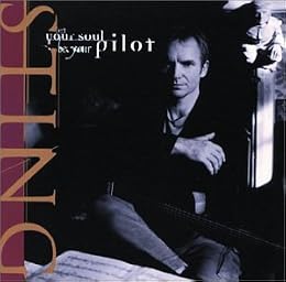 Sting Photo 12