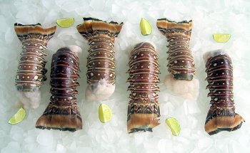 Lobster Gift Basket, 3 Pounds by Fresh Choice Seafood