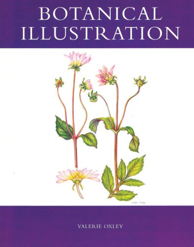 Botanical Illustration
