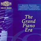 Grand Piano: The Grand Piano Era by Ferruccio Busoni, Frederic Chopin, Ignaz Friedman, Franz Liszt, and Nikolay Medtner