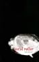 Gerbil Mother (Nunatak First Fiction)