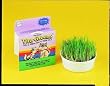 FP CAT VITA GREENS
