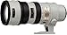 Nikon AF-S VR Zoom Nikkor ED 70-200mm F2.8G (IF) ���C�g�O���[