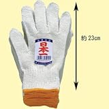 綿特日本一軍手600g フリーサイズ(L相当) 1双入