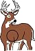 Allen Company Extend Life Burlap Whitetail Deer Broadside Target Face