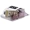 CR10 Portable Currency Counter