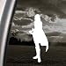Final Fantasy XIII Decal Lightning Cosplay Car Sticker