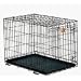 Midwest Life Stages Single-Door Folding Metal Dog Crate, 24"L x 18"W x 21"H