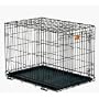 Midwest Life Stages Single-Door Folding Metal Dog Crate, 24"L x 18"W x 21"H