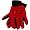 Arkansas Razorbacks