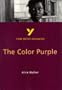 York Notes on Alice Walker's Color Purple (York Notes Advanced)
