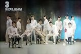 Super Junior 3 Sorry Sorry POSTER 34 x 23.5 Korean boy band SuJu Superjunior Lee Teuk Siwon Kyuhyun (poster sent from USA in PVC pipe)
