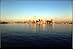 Twin Towers Remembered
