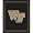 Wake Forest Demon Deacons