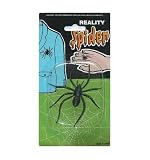 Spider (2in, plastic)