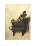 The Goldfinch, c.1654 Animals Art Poster Print by Carel Fabritius, 20x26