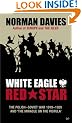 White Eagle, Red Star: The Polish-Soviet War 1919-20