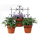 Indoor/Outdoor 3 Pot Holder
