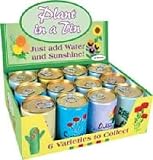 Plant in a Tin