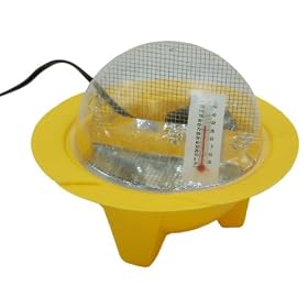Chick Bator Egg Incubator - 9108