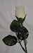 Long Stem Single VELVET Silk Rose Flower - Wedding Flowers - Bridal/Floral - Ivory