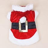 Colorfulhouse Christmas Dog Clothes Santa Dog Costumes Pet Apparel New Design (M)