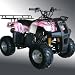 Kids 110cc ATV Quad Four (4) Wheeler Motorsport Powersport