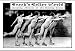Art Poster Print - Brock's Roller World - Artist: Wilbur Pierce- Poster Size: 28 X 18 Image
