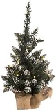 Brauns-Heitmann 87006 Weihnachtsbaum mit 20-teilig LED-Lichterkette, ca. 60 cm, weiße Spitzen