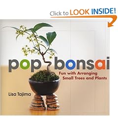 Pop Bonsai: Fun with Arranging Small Trees and Plants