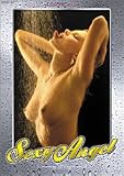 セクシーエンジェル 2006年度 カレンダー