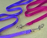 Single Thick Nylon Lead with Swivel Snap, 5/8 x 4' Blue