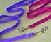 Pet Supplies : Slf Nylon Lead Blue