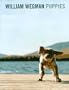 William Wegman: Puppies