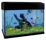 10.7 Gallons Hotel Series Aquarium