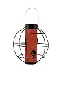 Avant Garden® Zen Lantern Wild Bird Feeder Model A01
