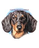 Dachshund - Portrait by Cindy Farmer
